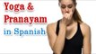 Yoga And Pranayam - Health Wellness ,Yoga Breathing and Diet Tips in Spanish