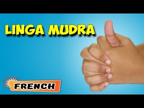 Yoga Mudra | Yoga pour les débutants complets | Yogic Chart & Benefits of Mudra in French