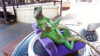 Dünya Yıkılsa Kimin Umurunda..