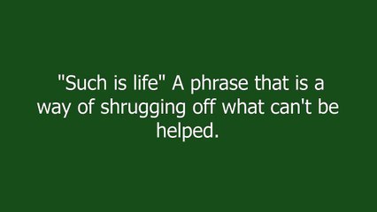 cest la vie meaning and pronunciation