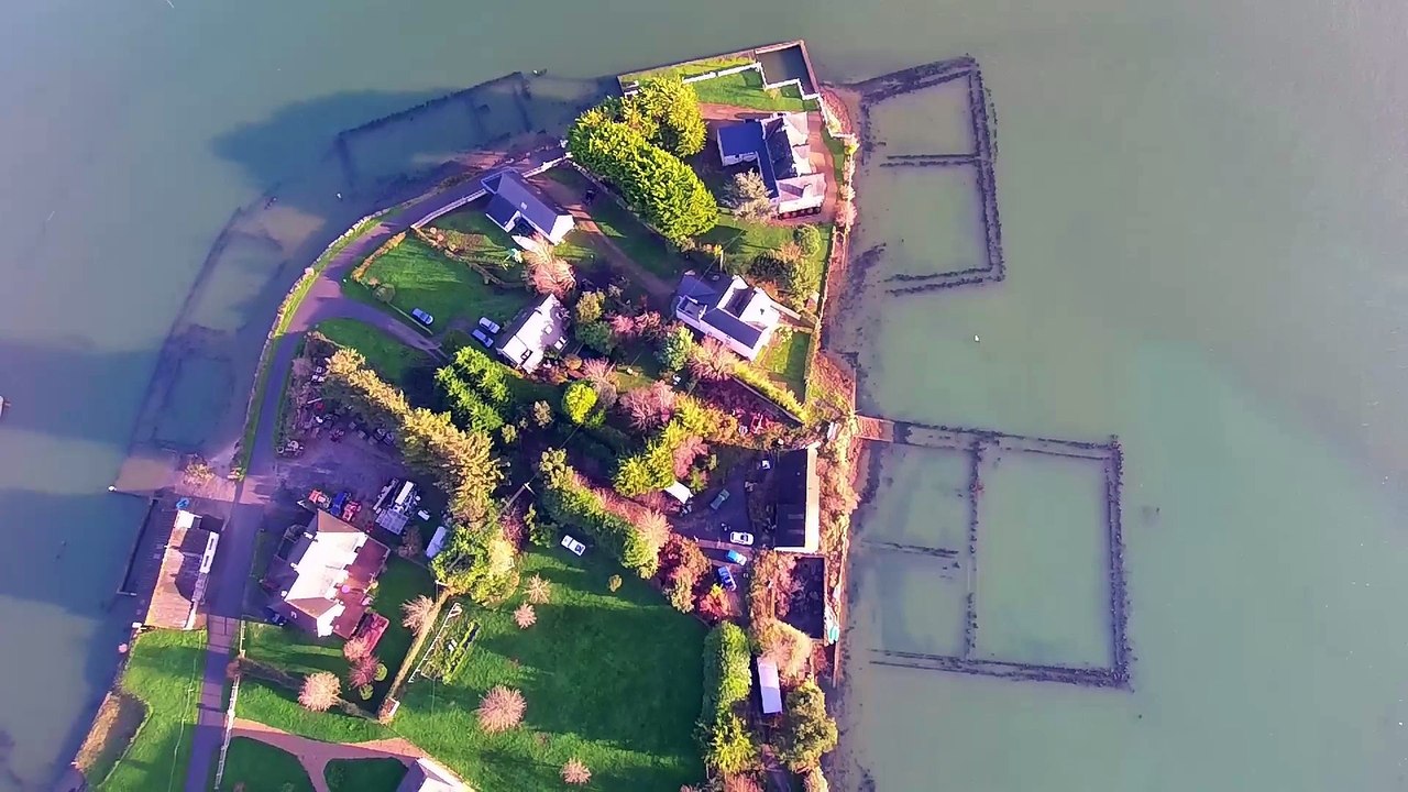 Drone blade chroma - Kercadic