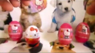 Hello kitty Surprise Eggs Маша и Медведь Kinder Masha i Medved Disney Peppa Pig Masha Toys
