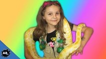 Little Girl Loves Giant Snakes! SnakeBytesTV - Ep. 402 : AnimalBytesTV