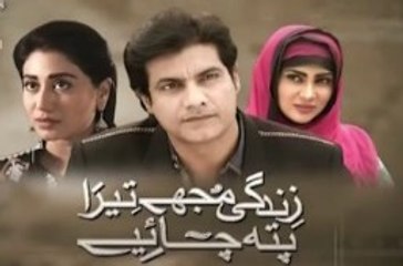 Zindagi Mujhay Tera Pata Chahiye Episode 38 PTV Home - 05 Jan 2016