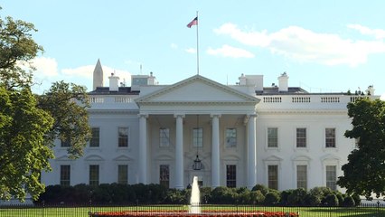 Cruzada contra as armas