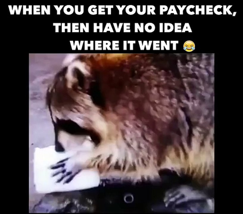 when you get your pay check-Prank,Comedy,Entertainment,Fun