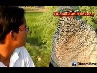 Funniest Facebook video - facebook videos - funny videos - video dailymotion