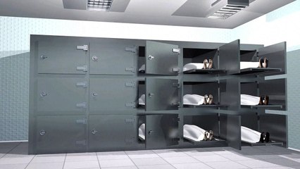 As armas de fogo nos EUA