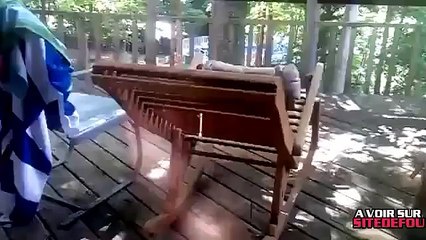 Ecureuil un peu trop curieux se prend une vitre