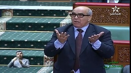 الأمازيغية تخلق جدلا وخلافا كبيرا في مجلس المستشارين