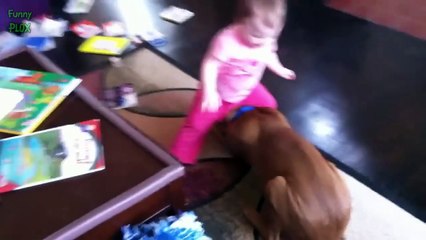 Funny Babies Annoying Cats and Dogs Compilation 2014 [HD]