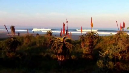 Deep Ocean ~ Great White Shark Hunter of the Deep Full Documentary