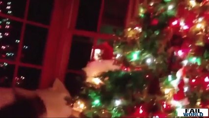 Смешное видео 2015-2016 .Подборка.Коты наряжают елки №2.Fail compilation 2015-2016