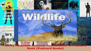 PDF Download  Rocky Mountain National Park Wildlife A Postcard Book Postcard Books PDF Full Ebook