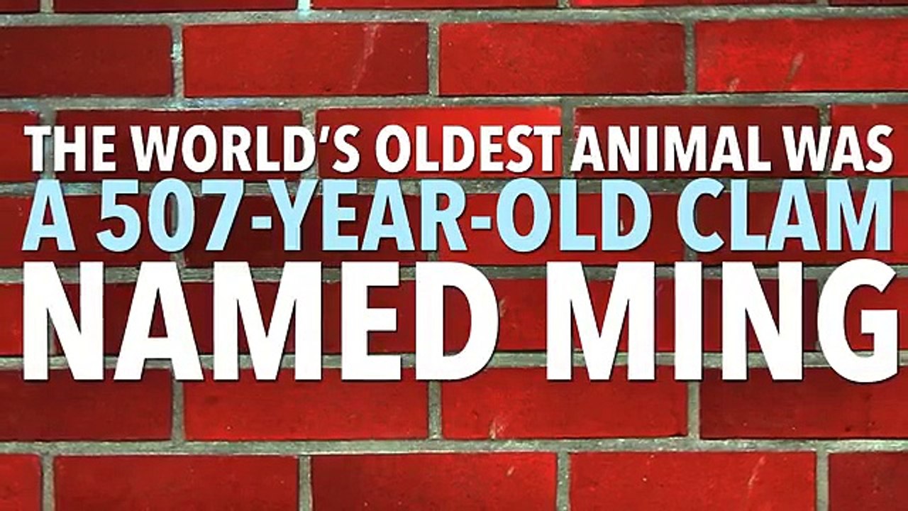 The Saddest Facts You'll Ever Hear in life