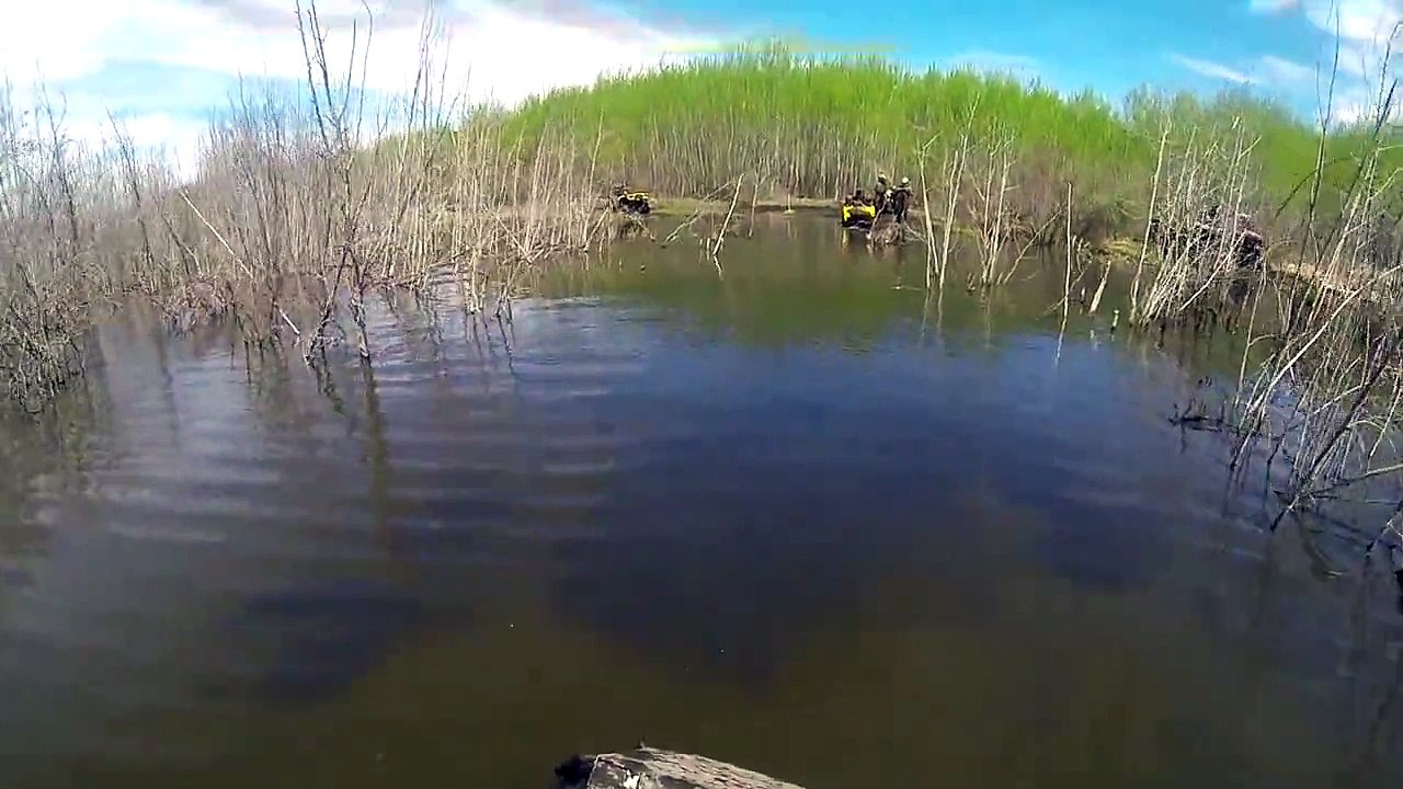 Renegade Dog Out of Control! | Best of Bondi Rescue