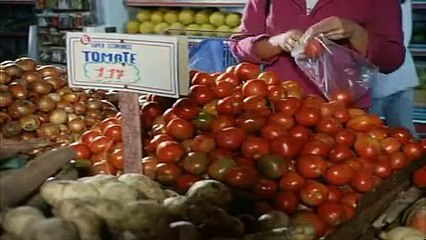 ilha das flores - filme curta metragem