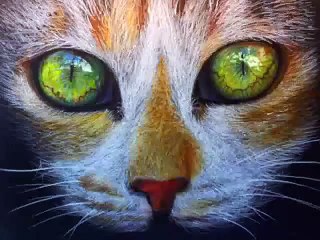 [Element Cams] - [Timelapse video] - Part 9: Vẽ mèo - Hieu Orion