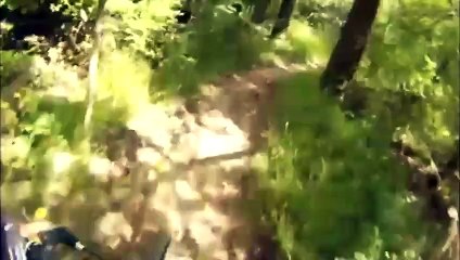 Black Park Mountain Biking Good Scenery