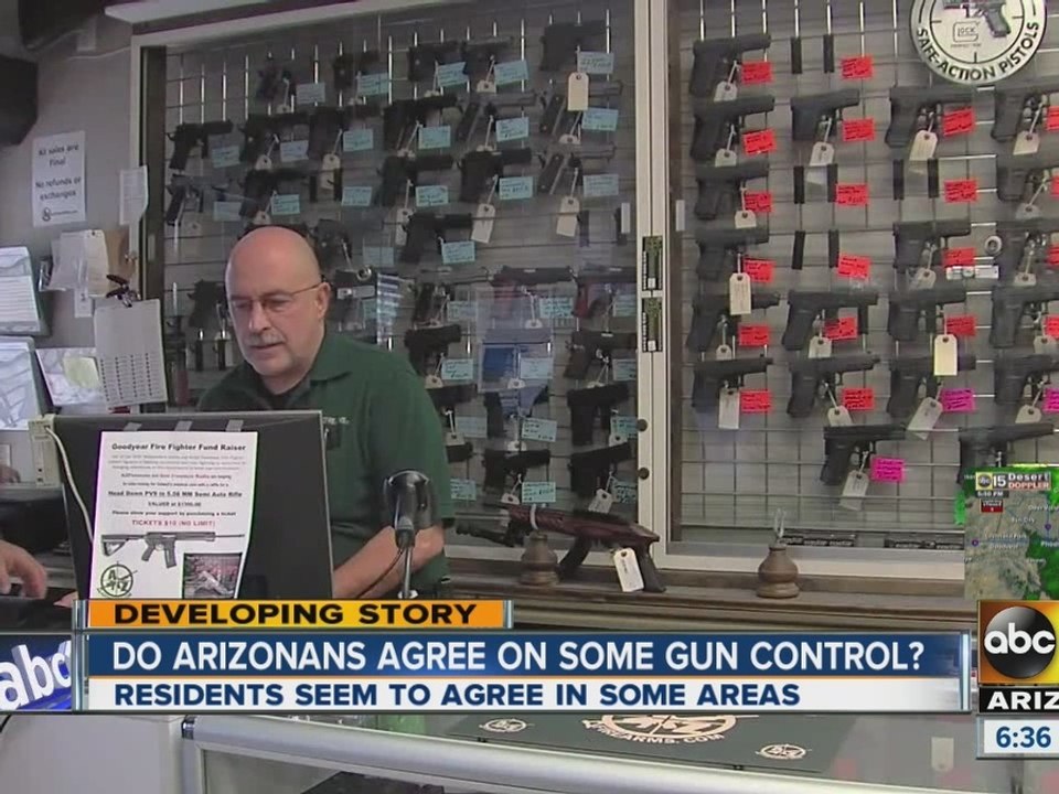 Do Arizonans agree on gun control?
