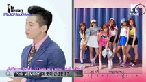 [PINKPANDAVN 1] [VIETSUB] The Qmentary - Apink 