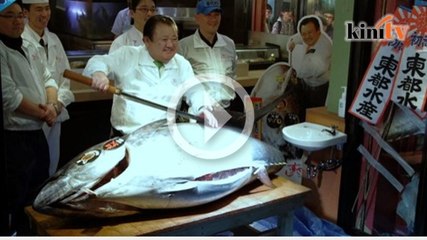 Download Video: Bos sushi 'berhabisan' dapat bluefin gergasi