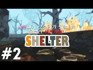 서넹오소리엄마가 되다 오소리가족의 생존기 쉘터 2편 Shelter [양띵TV서넹]