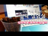 º요리실험실º 만두피로 츄러스를? 만두피츄러스 만들기! [양띵TV서넹]