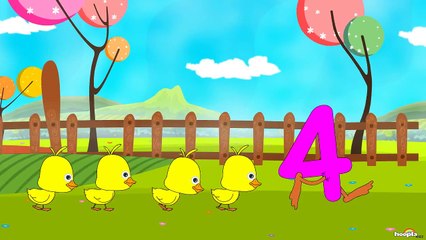Five Little Ducks | Nursery Rhymes by Hooplakidz