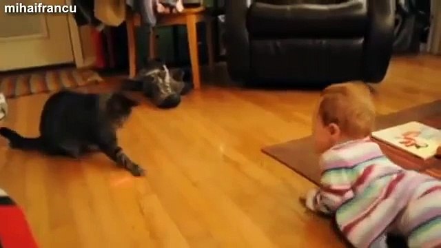 Best Of Babies Laughing Hysterically At Dogs And Cats Compilation 2014 NEW