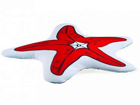 Ура! Долго искал подарок на день рождения - Подушка декоративная Морская звезда в г. Пенза