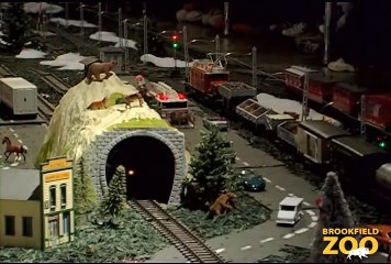 Holiday Magic 2011 at Brookfield Zoo