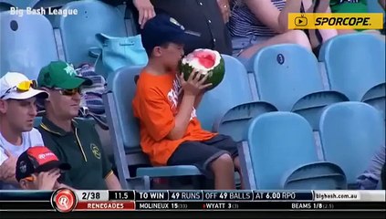 Karpuzu bütün haliyle yedi!