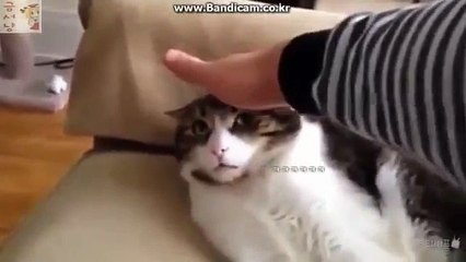 ༻울산오피༺ ▷§◁O1O↔2156↔2045▷§◁〖good girl〗울산오피 지실장❤️울산유흥❤️울산오피방