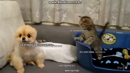 ψ울산opψ 〔 OlQ↔2156↔2O45 〕 울산오피 지실장