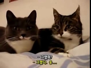 울산오피⑴｛Ol0↔2156↔2O45｝⑴HOT PINK 그녀 울산오피걸