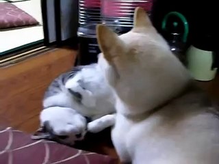 울산오피걸 전문〔 OlQ↔2156↔2O45 〕 울산오피 지실장 사랑스럽게 lovely
