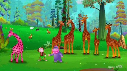 Finger Family Giraffe ¦ ChuChu TV Animal Finger Family Nursery Rhymes Songs For Children
