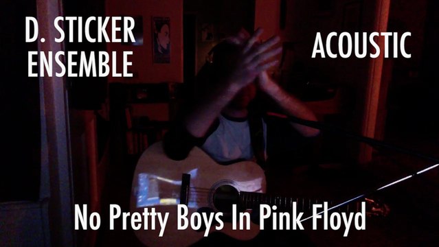 D. Sticker Ensemble - No Pretty Boys In Pink Floyd