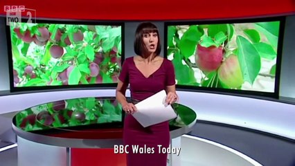 The case of the missing Welsh apples - Russell Howards Good News: Episode 8 - BBC Two