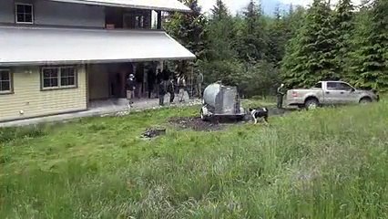 This rescued baby deer thinks that a dog is his father. See what the dog did!