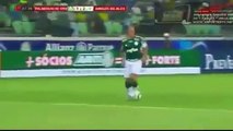 Alex De Souza Jübile Maçı Palmeiras Alex Futbolu Bıraktı 29.03.2015 Geniş Özet !