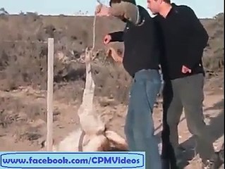 kis tarah do logo ny aik taron main phnsy heran ko azad kia