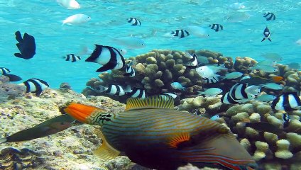 Top Reasons For Visiting New Zealand