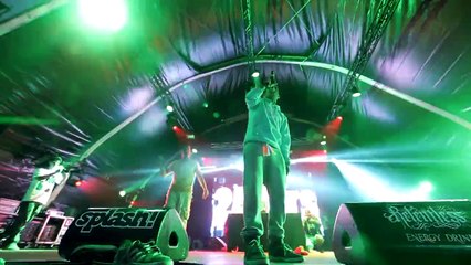 257ers auf dem Splash Festival 2013