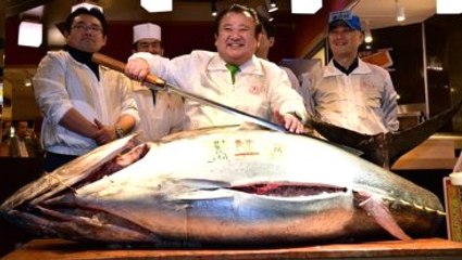 Suşi Patronu 200 Kiloluk Ton Balığına Servet Ödedi
