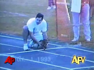 America s Funniest Home Videos Animal Clips