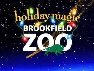 Holiday Magic at Brookfield Zoo - 30 second commercial
