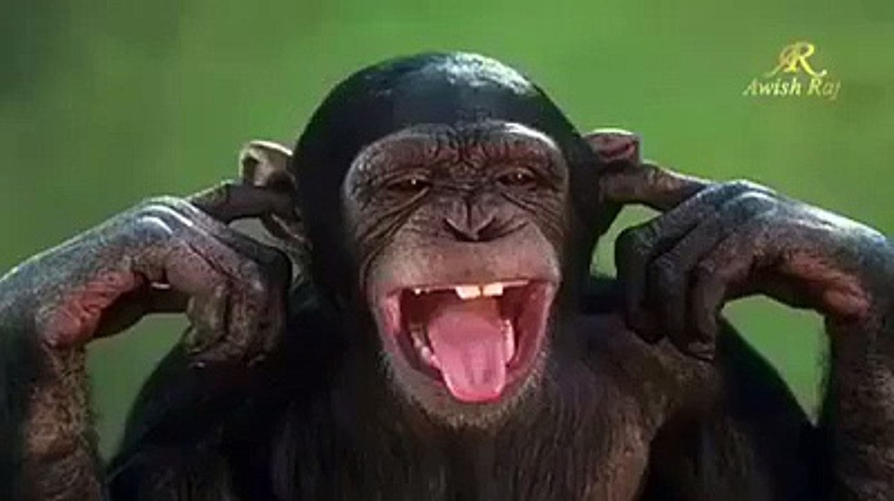 هاهاهاها - میرا تو ہنس ہنس کے برا حال ہو گیا ہے (Funny Phone Game )