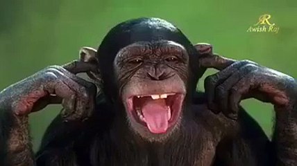 هاهاهاها - میرا تو ہنس ہنس کے برا حال ہو گیا ہے (Funny Phone Game )